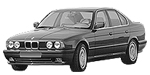 BMW E34 P1176 Fault Code